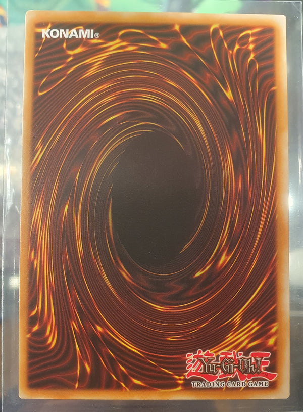 Yugioh - Pot of Duality *Ultimate Rare* AP05-EN003 (NM)