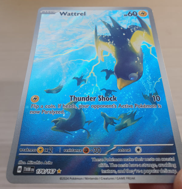 Pokemon - Wattrel *Illustration Rare* Twilight Masquerade 178/167