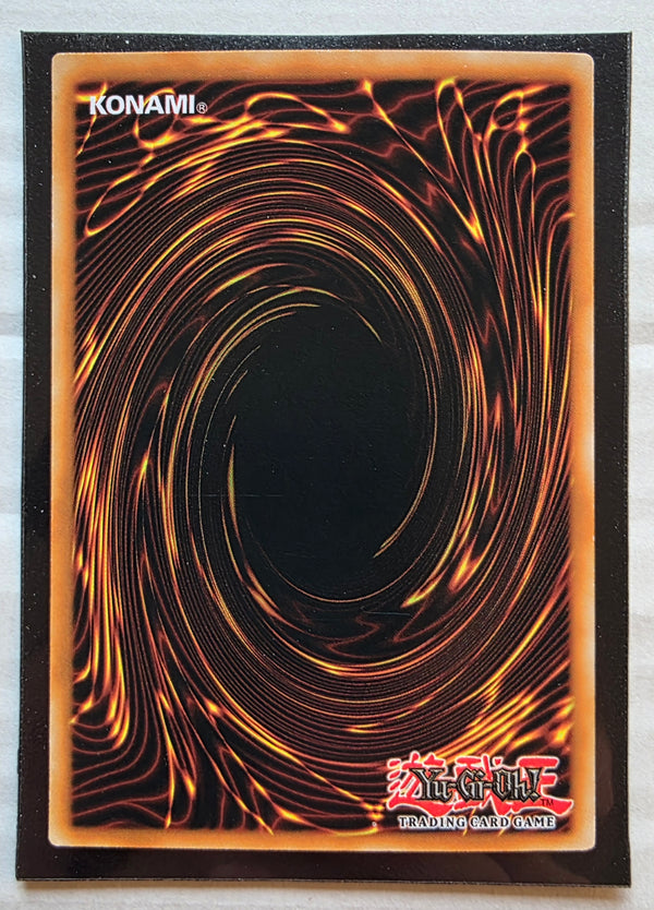 Yugioh - Dark Paladin *Secret Rare* SBCB-EN021 (LP)
