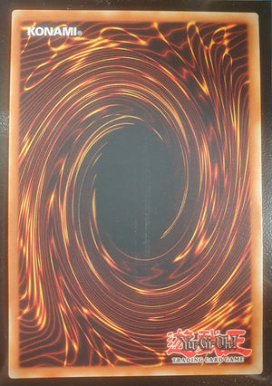 Yugioh - Armed Neos *Quarter Century Rare* BLMR-EN002 (NM)
