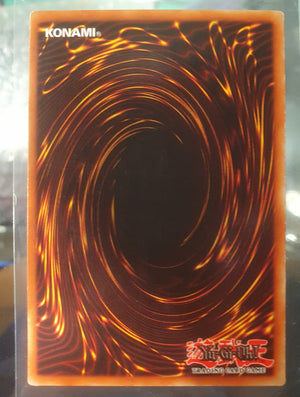 Yugioh - Dark Magician *Secret Rare* BPT-001 (NM)