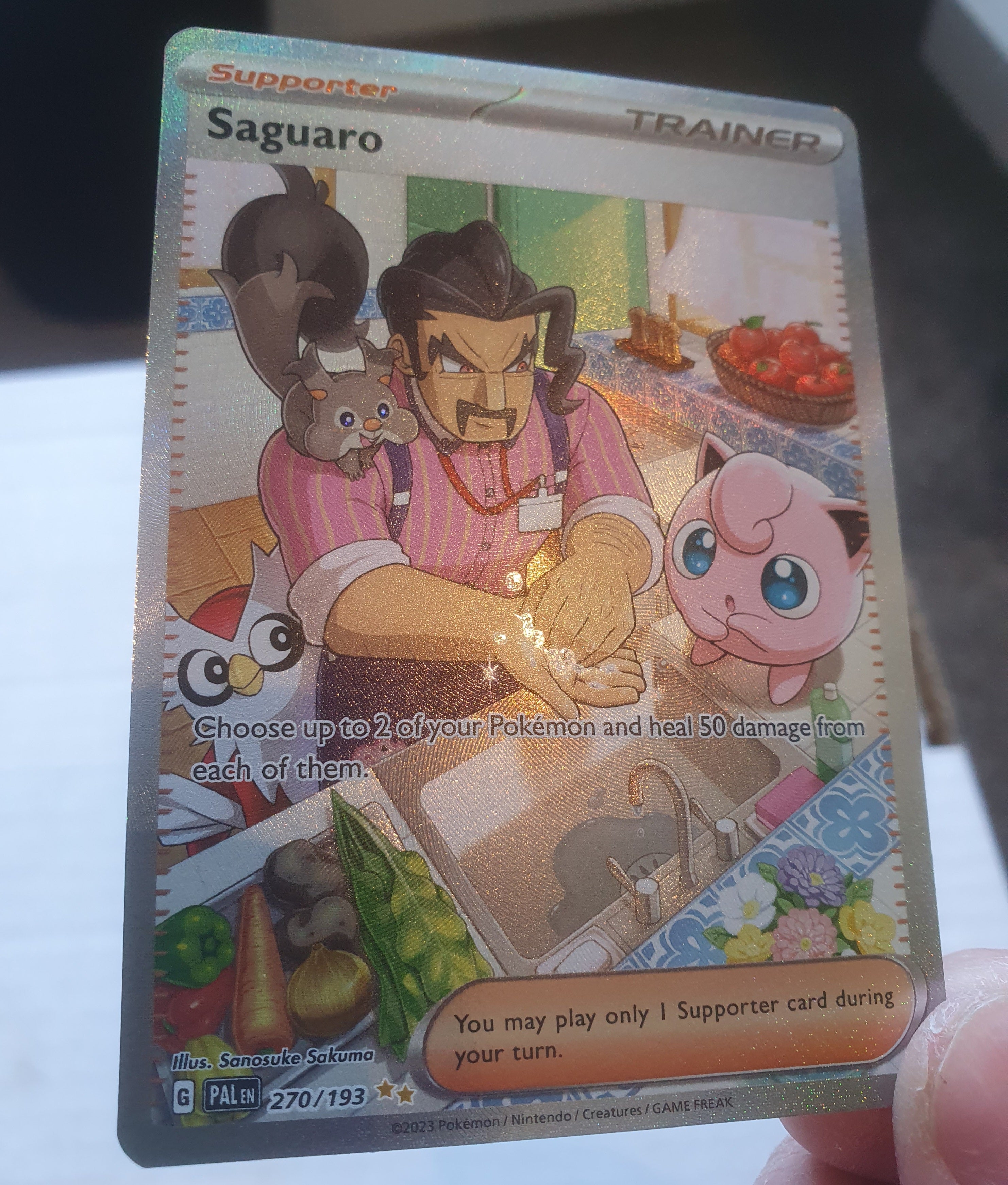 saguaro full art pokemon card Pokemon