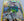Pokemon - Smeargle *Holo* Silver Tempest TG10/TG30