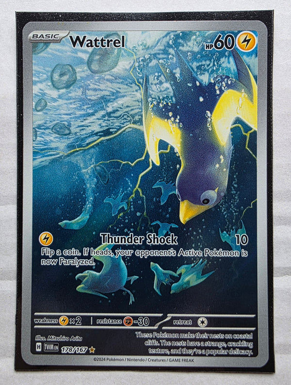 Pokemon - Wattrel *Illustration Rare* Twilight Masquerade 178/167