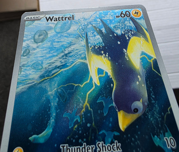 Pokemon - Wattrel *Illustration Rare* Twilight Masquerade 178/167