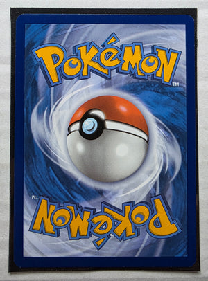 Pokemon - Cramorant *Illustration Rare* Twilight Masquerade 176/167