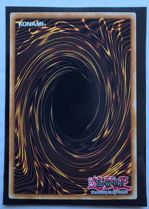 Yugioh - Red-Eyes Baby Dragon *Secret Rare* LDS1-EN010 (Damaged)