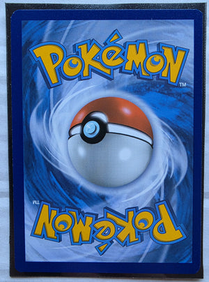 Pokemon - Reshiram & Charizard GX *Black Star Promo* SM247