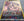Pokemon - Torkoal *Secret Rare* Cosmic Eclipse 237/236 (MP)