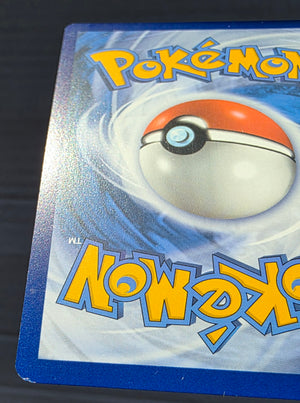 Pokemon - Skwovet *Illustration Rare* Scarlet & Violet 222/198 (LP)