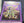 Yugioh - Odd-Eyes Vortex Dragon *Ultimate Rare* DOCS-EN045 (LP)