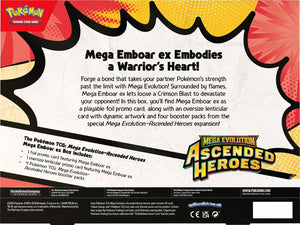 Pokemon - Ascended Heroes ex Box (ME2.5)