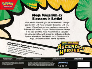 Pokemon - Ascended Heroes ex Box (ME2.5)