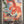 Load image into Gallery viewer, Pokemon - Charizard V [Alternate Art] *Ultra Rare* Brilliant Stars 154/172 (NM)
